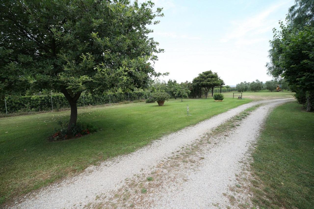 Podere Serena Castagneto Carducci Exterior foto